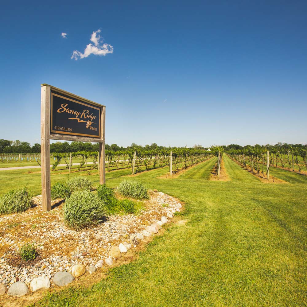 Stoney Ridge Winery